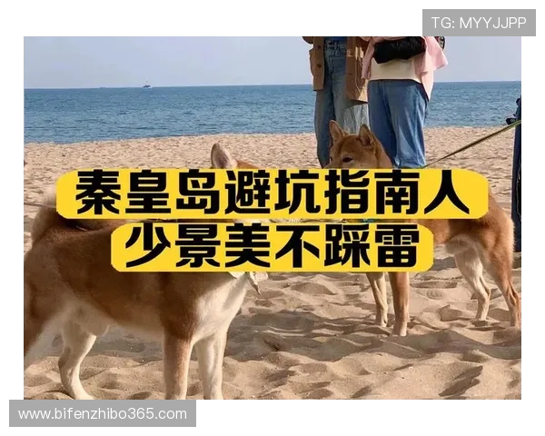 买球站足球直播彩票与数字高频玩法防骗避坑指南